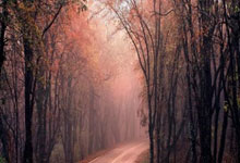 辽宁111-110上海，赛后迎4好消息，金金+2将获证明，杨鸣完美应变.