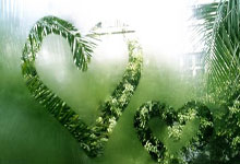 詹俊：纽卡斯尔联是冠军！斯洛特“化圣为凡”的一天.