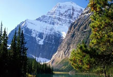 中欧体育：[天下足球]凯恩戴帽 拜仁大胜荷尔斯泰因基尔.