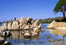 大战“金左手”！丁俊晖能否开启胜利之门？.